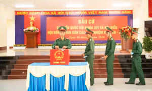 Hình ảnh cử tri đặc khu Thổ Châu đi bầu cử sớm
