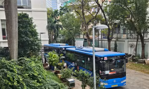 TPHCM muốn miễn phí xe buýt toàn dân