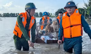 Lực lượng công an, quân sự phường Hải Dương hỗ trợ người dân ven sông sơ tán tài sản, vật dụng thiết yếu.