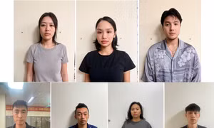 Khởi tố ca sỹ Miu Lê 