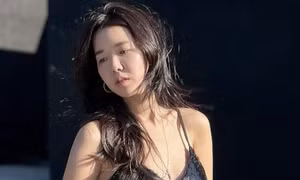 Nhiều nghệ sĩ phải xin lỗi 