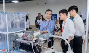 Hơn 20.000 sinh viên sẽ được hưởng chính sách hỗ trợ đào tạo nhân lực STEM