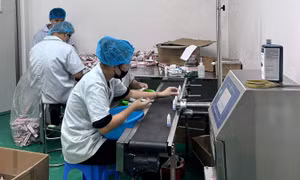 Hải Phòng: Khởi tố giám đốc doanh nghiệp sản xuất hàng giả
