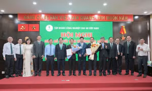 Ông Trần Như Hùng và ông Phạm Văn Hỏi Em giữ chức Phó Tổng giám đốc VRG