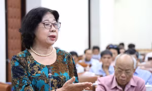 Đề xuất đưa 'đô thị vệ tinh, biển đảo' vào Luật Đô thị đặc biệt TPHCM
