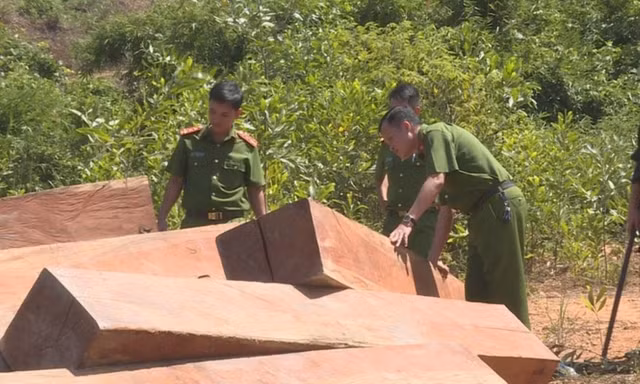 Giám đốc Công ty Lâm nghiệp Ea Kar bị bắt với cáo buộc nhận hối lộ