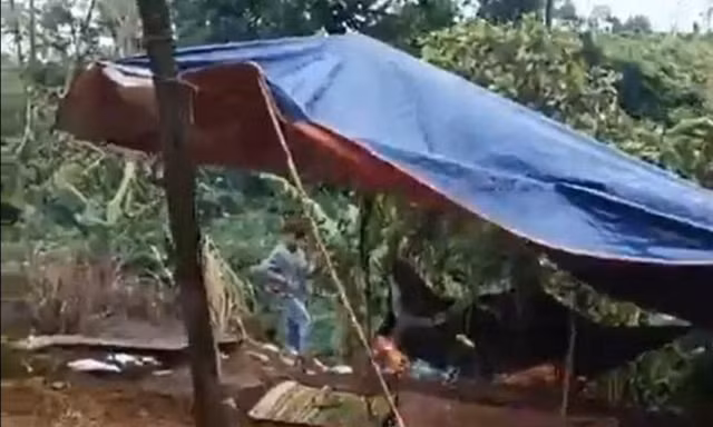 Nam giáo viên khai quá trình sát hại, phi tang thi thể nữ nhân viên thư viện cùng trường 