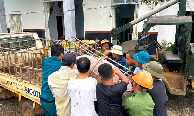 Cận cảnh di dời tài sản của dân ra khỏi vực 'tử thần' ở Gia Lai