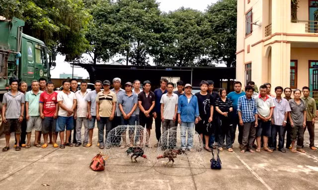 Lời khai của đối tượng tổ chức trường gà quy mô lớn ở Gia Lai