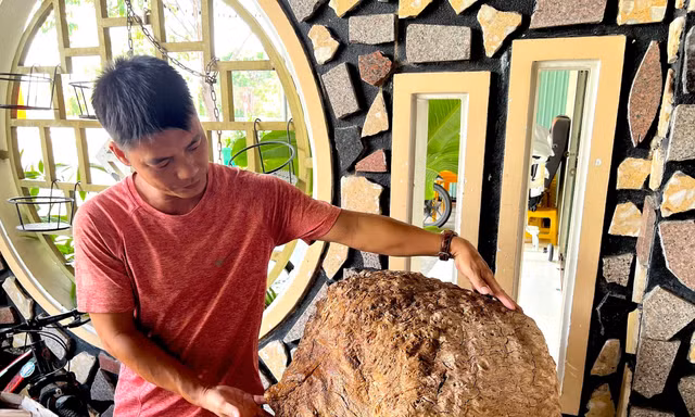 Chiêm ngưỡng khối gỗ nu hoá đá đặc biệt dưới chân núi lửa Chư A Thai