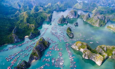 Vẻ đẹp hoang sơ của vịnh Lan Hạ qua ống kính khách nước ngoài