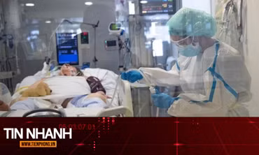 TIN NHANH: Giải mã lý do COVID-19 gây tổn thương kéo dài trong cơ thể