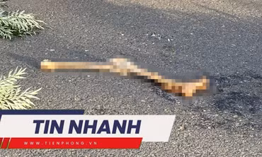 TIN NHANH: Công bố nhận dạng tử thi có chân bị tách rời ở Đà Lạt; Mua vàng bình ổn giá cần chuẩn bị gì?