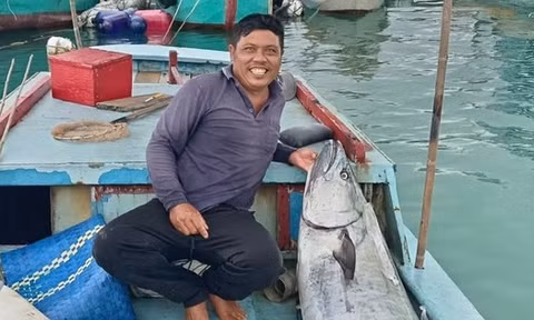 Ngư dân câu được 'quái vật' cá thu gần 60 kg