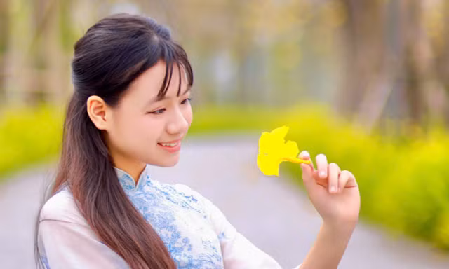 Hà Nội xao xuyến mùa hoa ban tím, phong linh nhuộm vàng góc phố