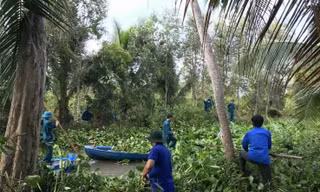 Hậu Giang thực hiện 4.914 công trình, phần việc trong Tháng Thanh niên