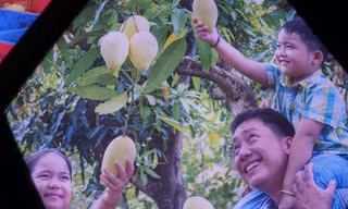 Trải nghiệm công nghệ thực tế ảo 'Vương quốc xoài Đồng Tháp'