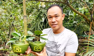 Bưởi hình hồ lô, thỏi vàng ở miền Tây giá hơn 1 triệu đồng/cặp chưng Tết