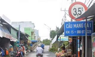 Cầu Mang cá 1