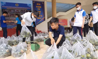 Đăng bán trên mạng xã hội, bạn trẻ Cần Thơ bán hết sạch cam sành giúp nông dân 