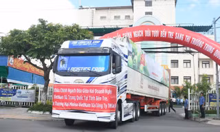 Dừa tươi Bến Tre chính thức xuất khẩu Trung Quốc