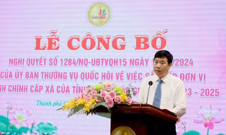 Đồng Tháp chính thức thực hiện sáp nhập xã, phường