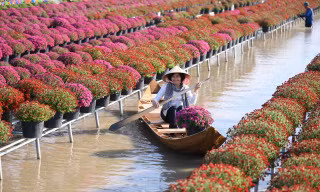 Thủ phủ hoa Sa Đéc khai hội xuân, đón Tết sớm