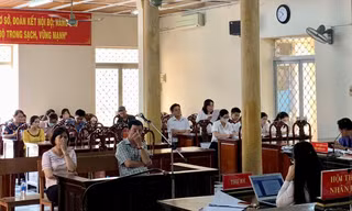 Quang cảnh tòa