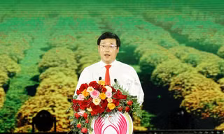 Khai hội Festival hoa kiểng Sa Đéc