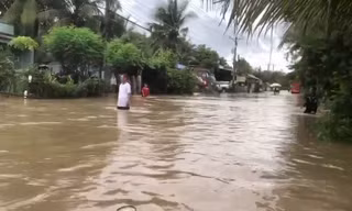 Mưa to kéo dài, tỉnh lộ 955B ở An Giang chìm trong 'biển nước'