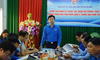 Tập trung mô hình mới để khắc họa rõ nét năm Thanh niên tình nguyện