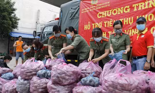 Tuổi trẻ công an thành phố Cần Thơ tặng 2 tấn khoai cho người dân ở quận Ninh Kiều