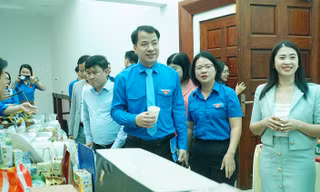 40 dự án tranh tài cuộc thi khởi nghiệp thanh niên nông thôn