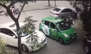Tình huống dẫn đến sự việc