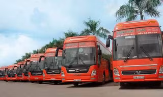 Phương Trang là doanh nghiệp bất động sản, hiện cũng là doanh nghiệp xe khách có lượng xe lớn nhất Việt Nam