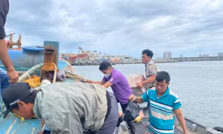 Ngư dân miền Trung tất bật chuẩn bị vươn khơi sau bão số 4