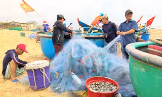 Ngư dân Vũng Tàu trúng đậm 'lộc biển' đầu năm