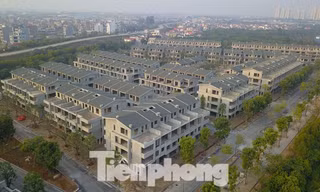 Chủ dự án vườn Vạn Tuế bán biệt thự, nhà phố thu gần 300 tỷ đồng trên đất nhà máy gạch