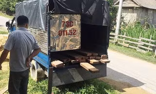 Kiểm lâm nổ súng bắt gỗ lậu, một người trúng đạn