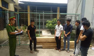 Nhóm 6 thanh niên "liều mạng" lao vào trạm bảo vệ rừng cướp gỗ. 