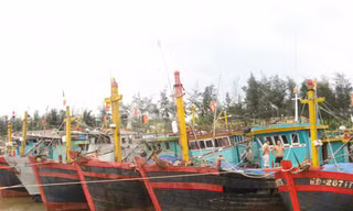 Chi 180 tỷ để ra khơi là trúng mùa