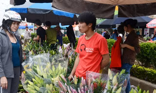Những bó hoa ly đẹp có giá tiền triệu