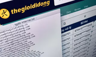 Thông tin khách hàng được erwincho cho là của Thế giới Di động.