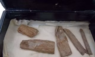 Những mảnh gỗ tuyết tùng được đựng trong hộp đựng xì gà.