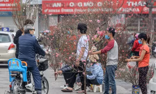 Không khí Tết tràn ngập chợ hoa xuân mở sớm nhất Hà Nội