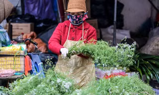 Người Hà Thành 'săn' mùi già về tắm Tất niên