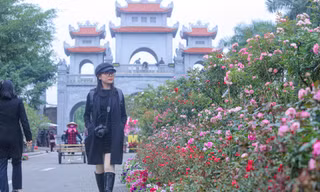 Con đường hoa hồng tuyệt đẹp sẵn sàng cho lễ hội hoa Mê Linh