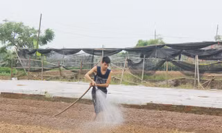 Anh Thắng vừa chia sẻ với PV vừa làm “luôn tay luôn chân”. 