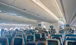 Hãng hàng không nào đông khách nhất, bay đúng giờ nhất?