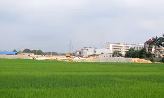 Bắc Giang thu hồi hơn ngàn ha đất trồng lúa 